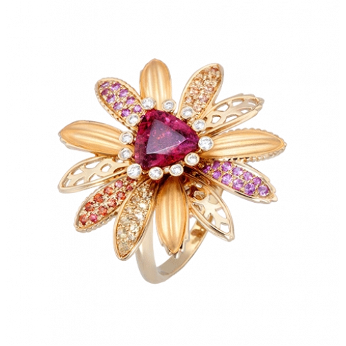 INEL CARRERA Y CARRERA