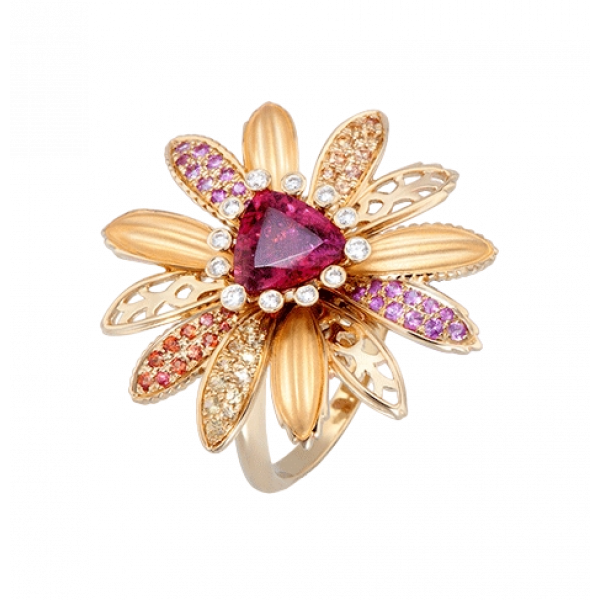 INEL CARRERA Y CARRERA